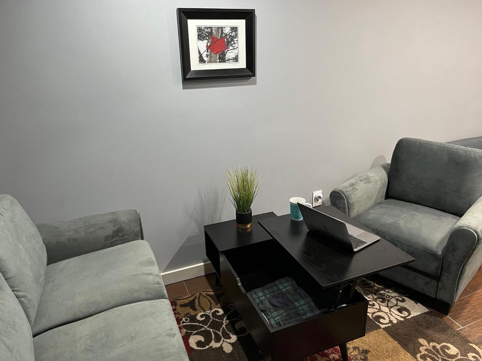 Plush Garden Level Apartment Near Stowe Morristown Exteriör bild